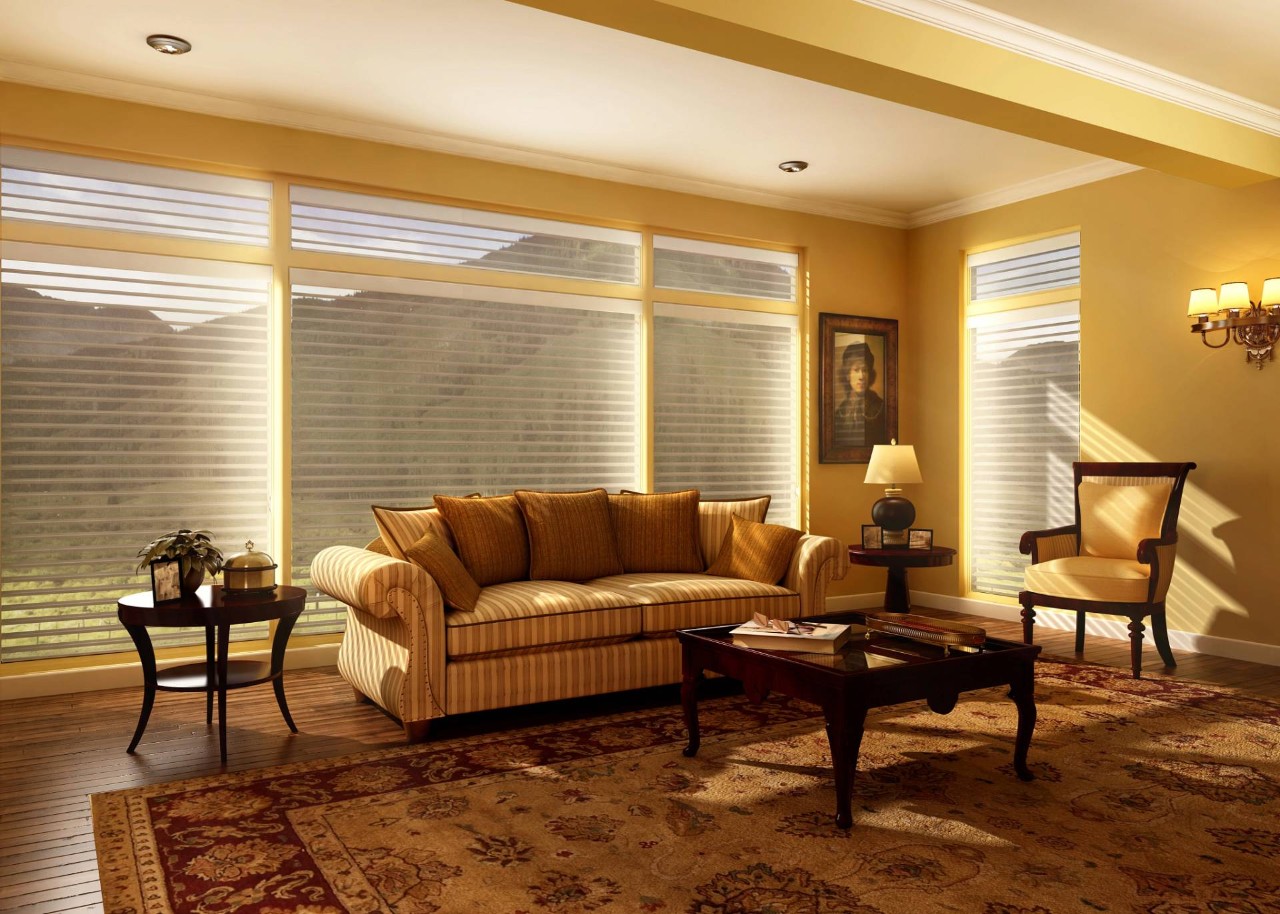Hunter Douglas Silhouette® Sheer Shades for a home near Richardson, TX